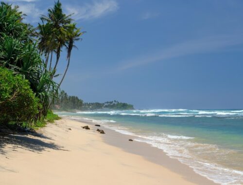 All about surfing in Sri Lanka
